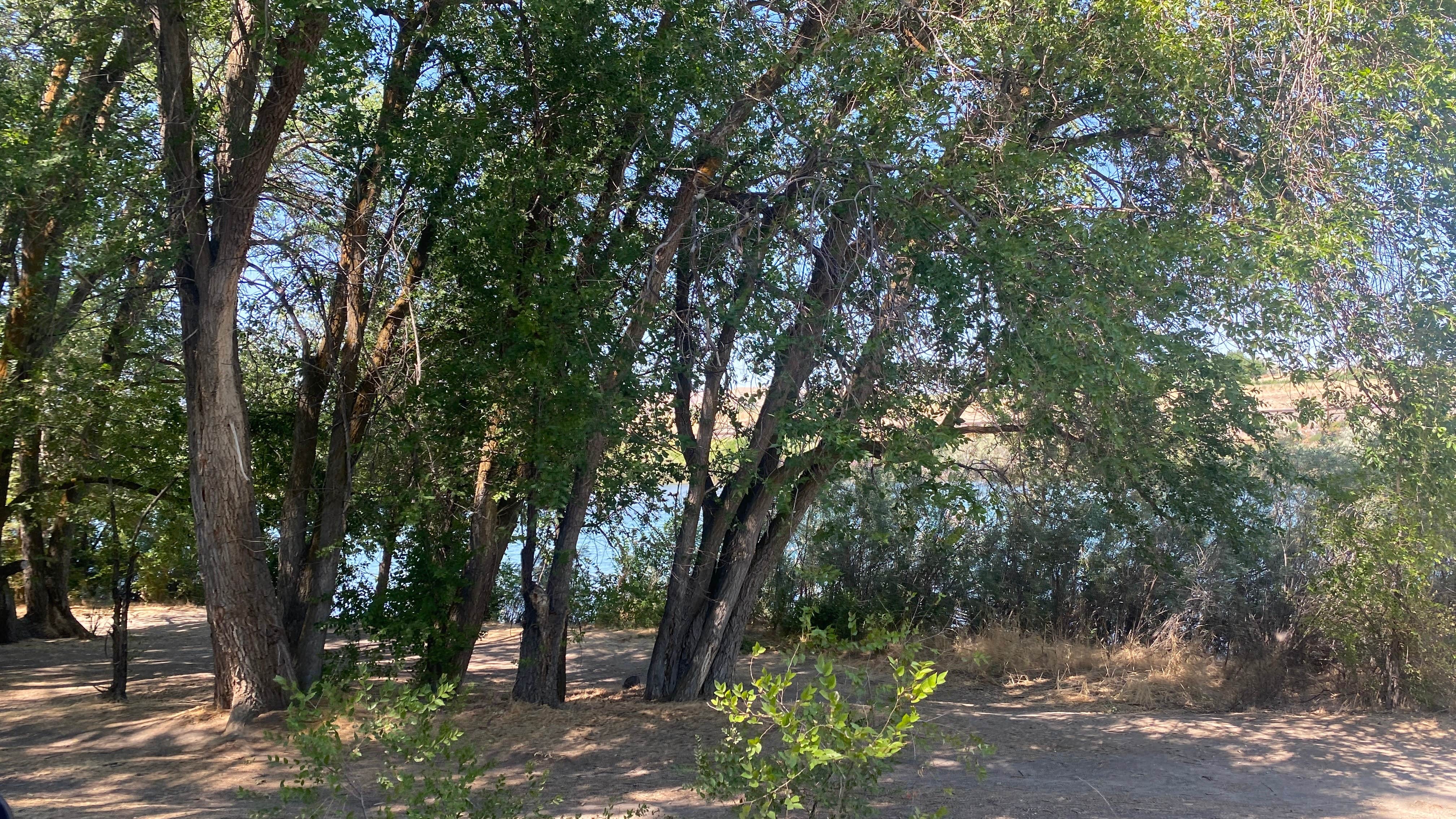 Camper-submitted photo at Frank C Jones King Hill Area near King Hill, ID