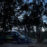 Review photo of North Rim Campground — Black Canyon of the Gunnison National Park by Oliver V., August 8, 2023
