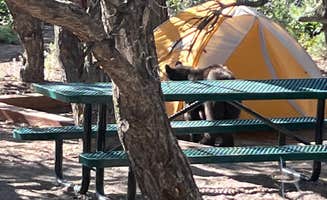 Oliver V.'s photo of camping with pets at North Rim Campground — Black Canyon of the Gunnison National Park near Curecanti National Recreation Area