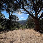 Review photo of North Rim Campground — Black Canyon of the Gunnison National Park by Oliver V., August 8, 2023
