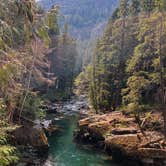 Review photo of Ohanapecosh Campground — Mount Rainier National Park by Alyson M., August 8, 2023