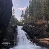 Review photo of Ohanapecosh Campground — Mount Rainier National Park by Alyson M., August 8, 2023
