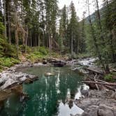 Review photo of Ohanapecosh Campground — Mount Rainier National Park by Alyson M., August 8, 2023