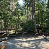 Review photo of Cougar Rock Campground — Mount Rainier National Park by Alyson M., August 8, 2023