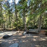 Review photo of Cougar Rock Campground — Mount Rainier National Park by Alyson M., August 8, 2023