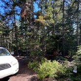 Review photo of Cougar Rock Campground — Mount Rainier National Park by Alyson M., August 8, 2023