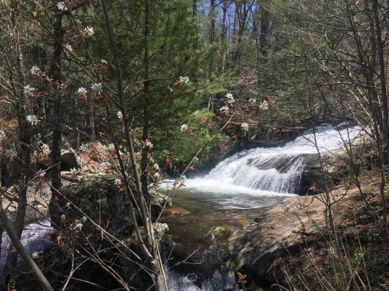 Camper submitted image from Oronoco Campground - 4