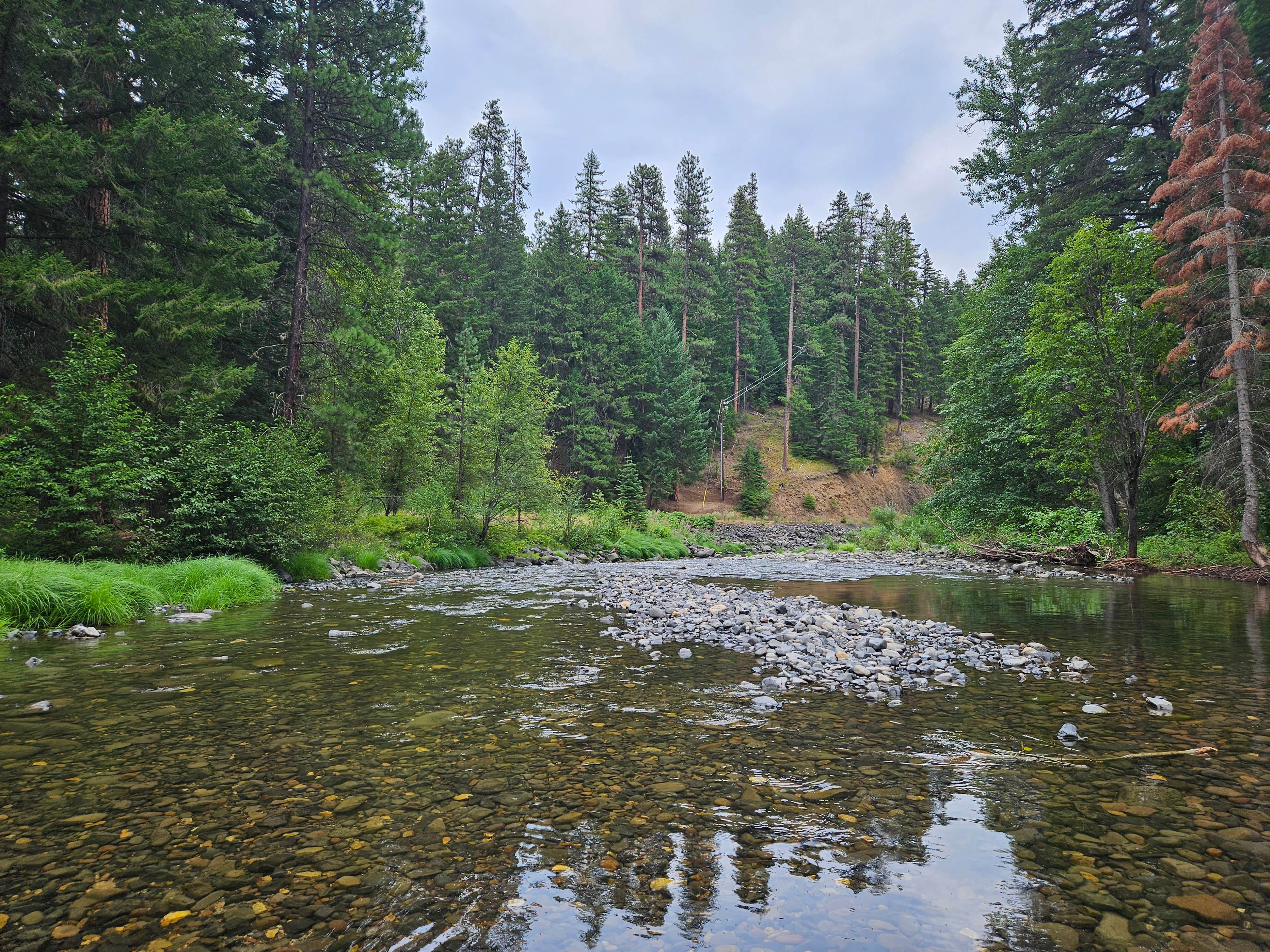 Camper submitted image from Kaner Flat Campground — Okanogan Wenatchee National Forest - 3