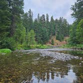 Review photo of Kaner Flat Campground — Okanogan Wenatchee National Forest by Matthew K., August 8, 2023