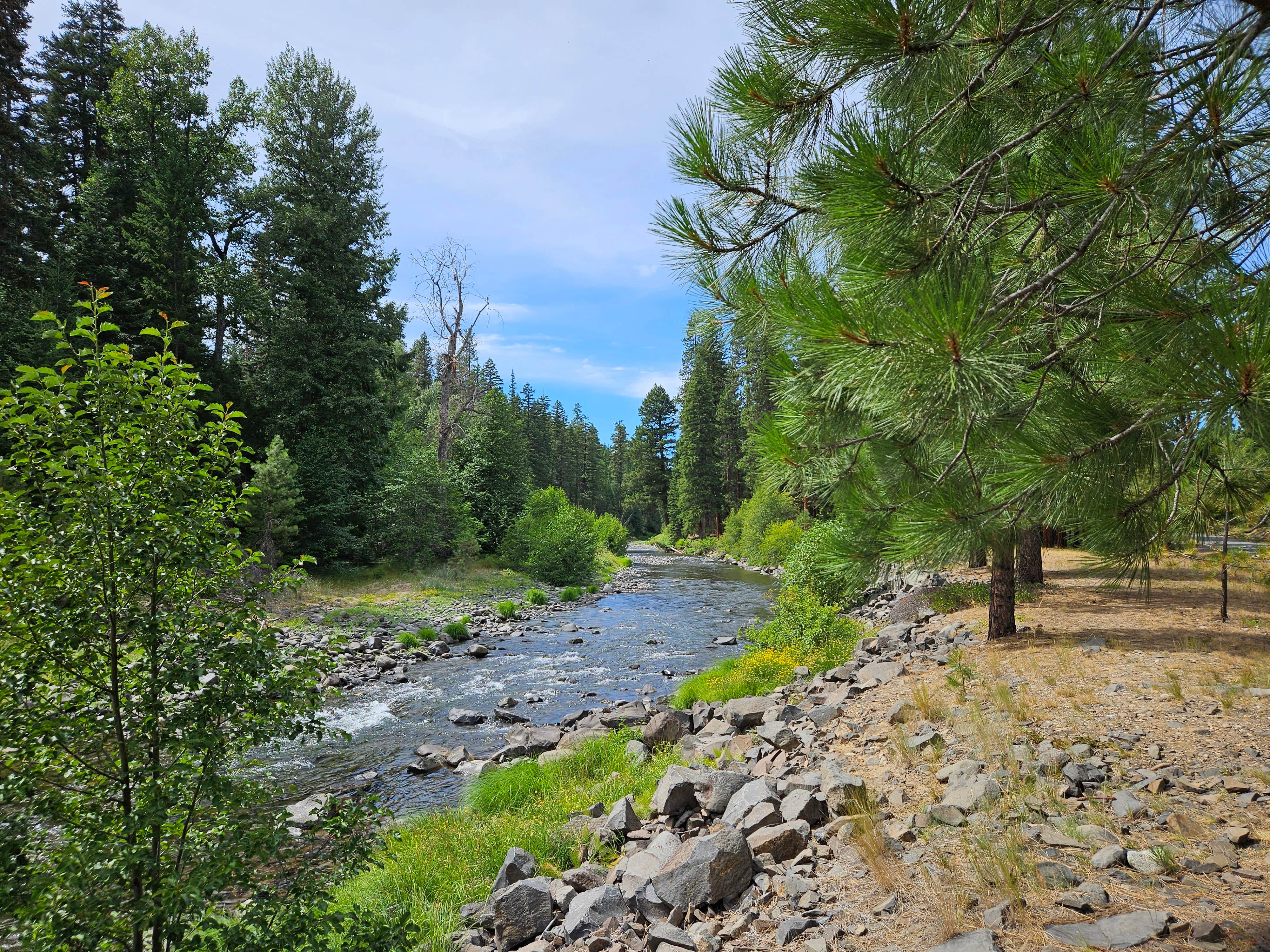 Camper submitted image from Kaner Flat Campground — Okanogan Wenatchee National Forest - 5