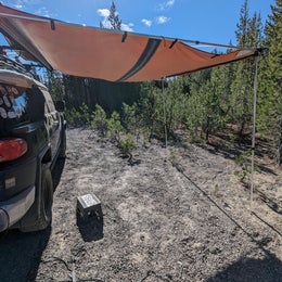 Forest Road 960 Campsite