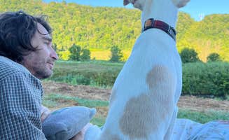 Randall K.'s photo of camping with pets at Westfork Sports Club & Campground near Lansing, IA