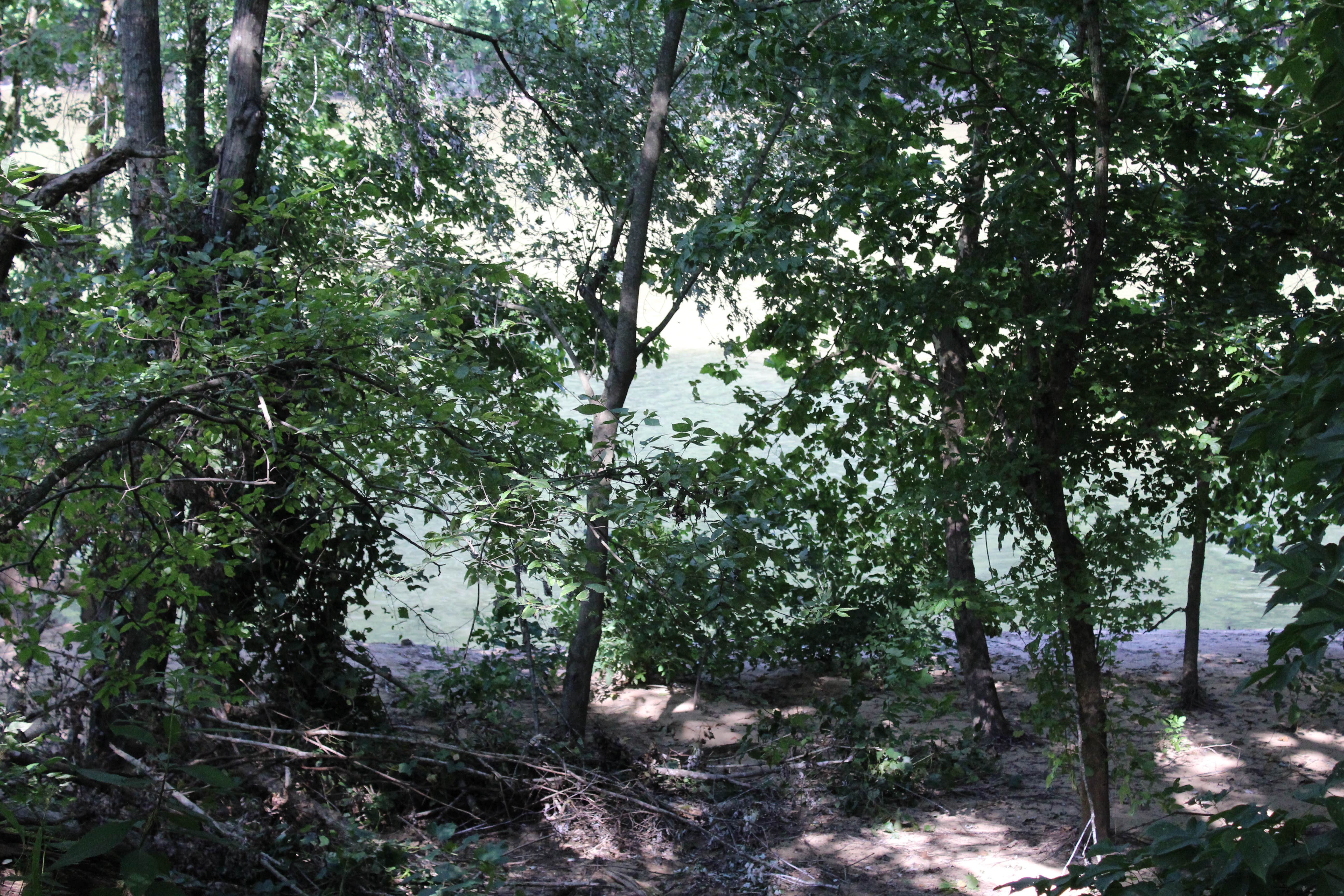 Camper-submitted photo at Mountain Lake Marina and Campground near Duff, TN