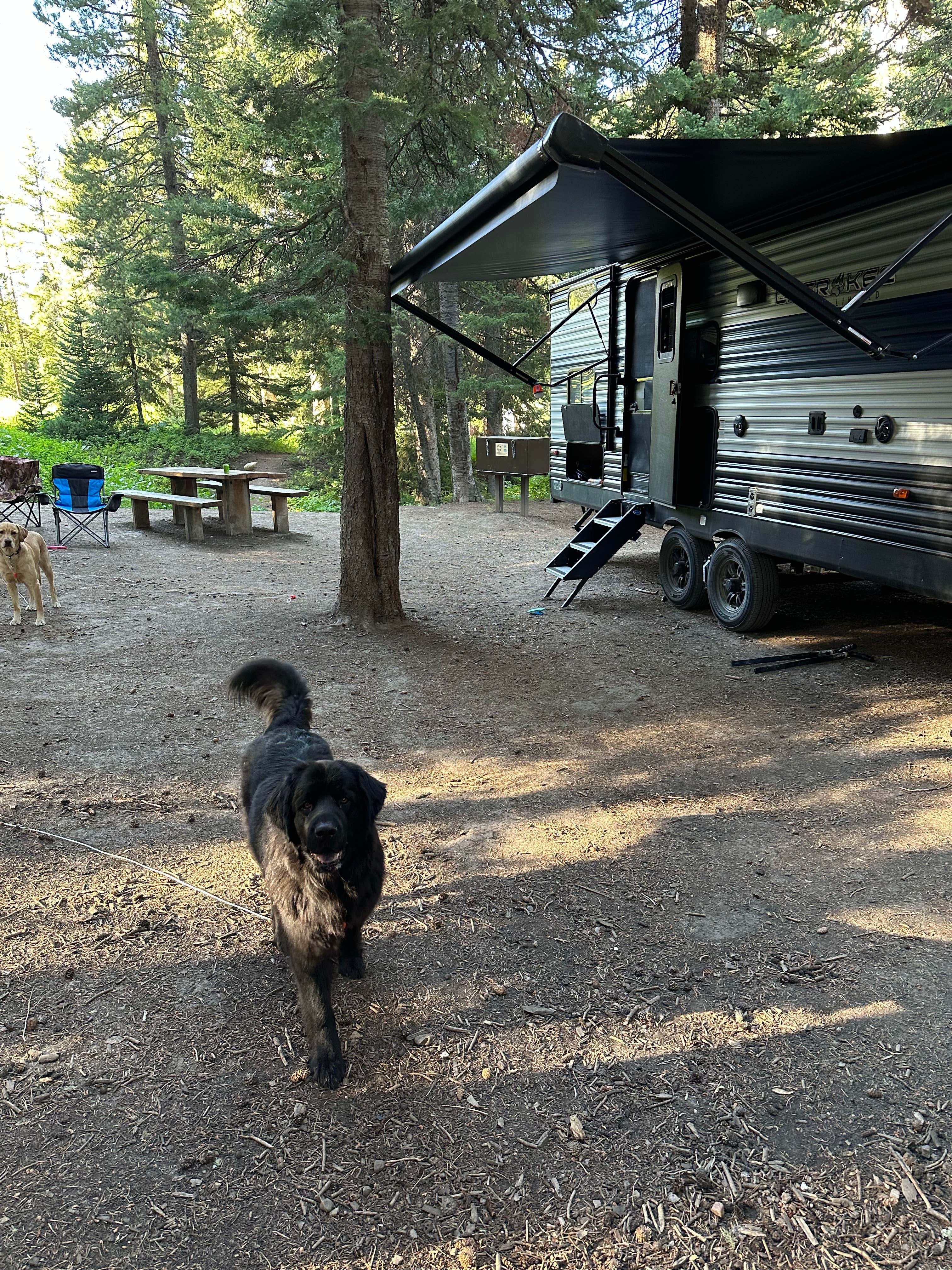 Brianna W.'s photo of rv camping at Granite Creek Campground near Bondurant, WY