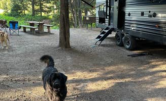 Brianna W.'s photo of rv camping at Granite Creek Campground near Bridger-Teton National Forest