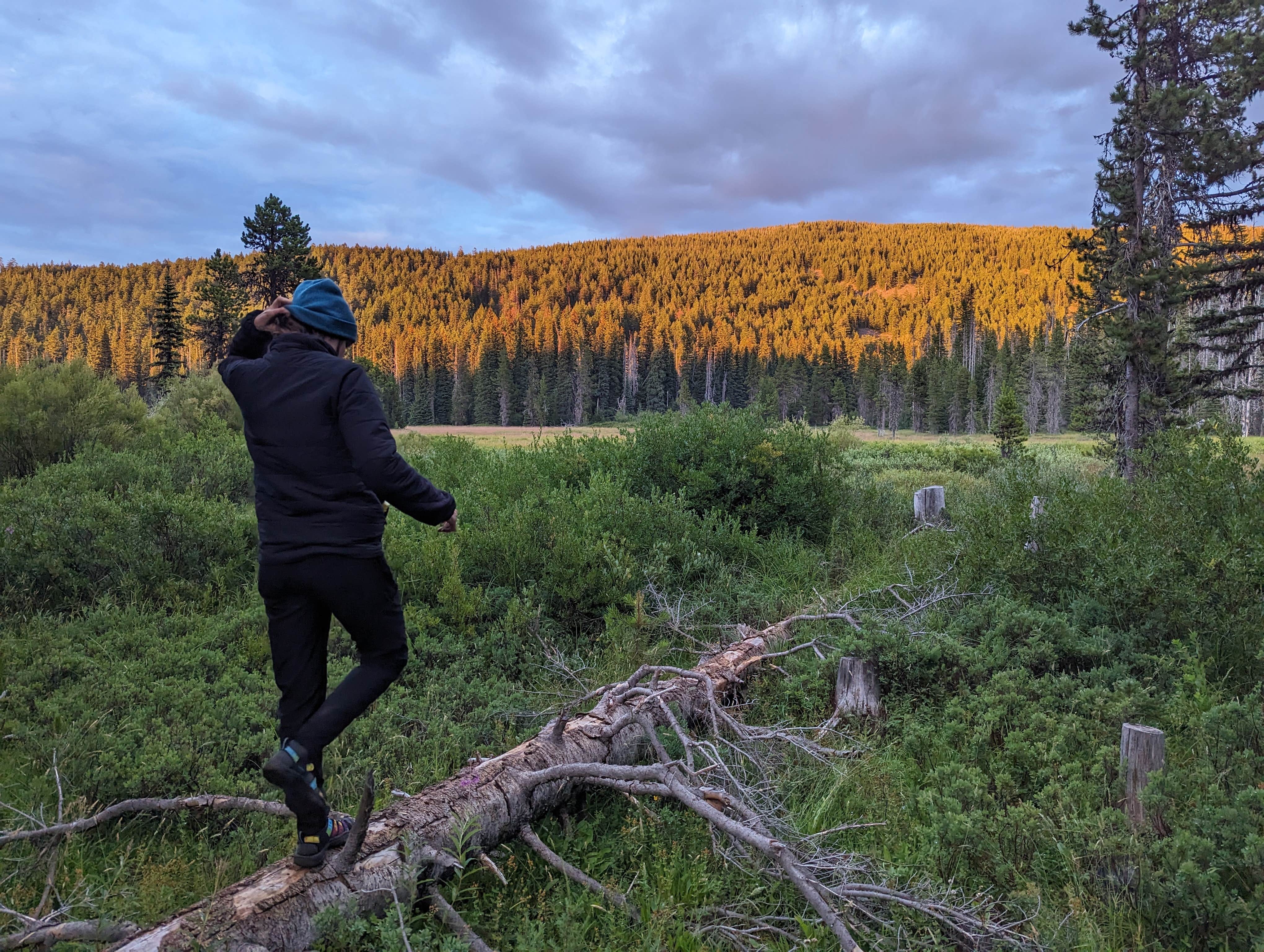 Camper submitted image from Olallie Meadow Campground - 5