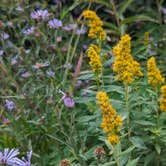 Review photo of Olallie Meadow Campground by Eric H., August 9, 2023