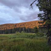 Review photo of Olallie Meadow Campground by Eric H., August 9, 2023