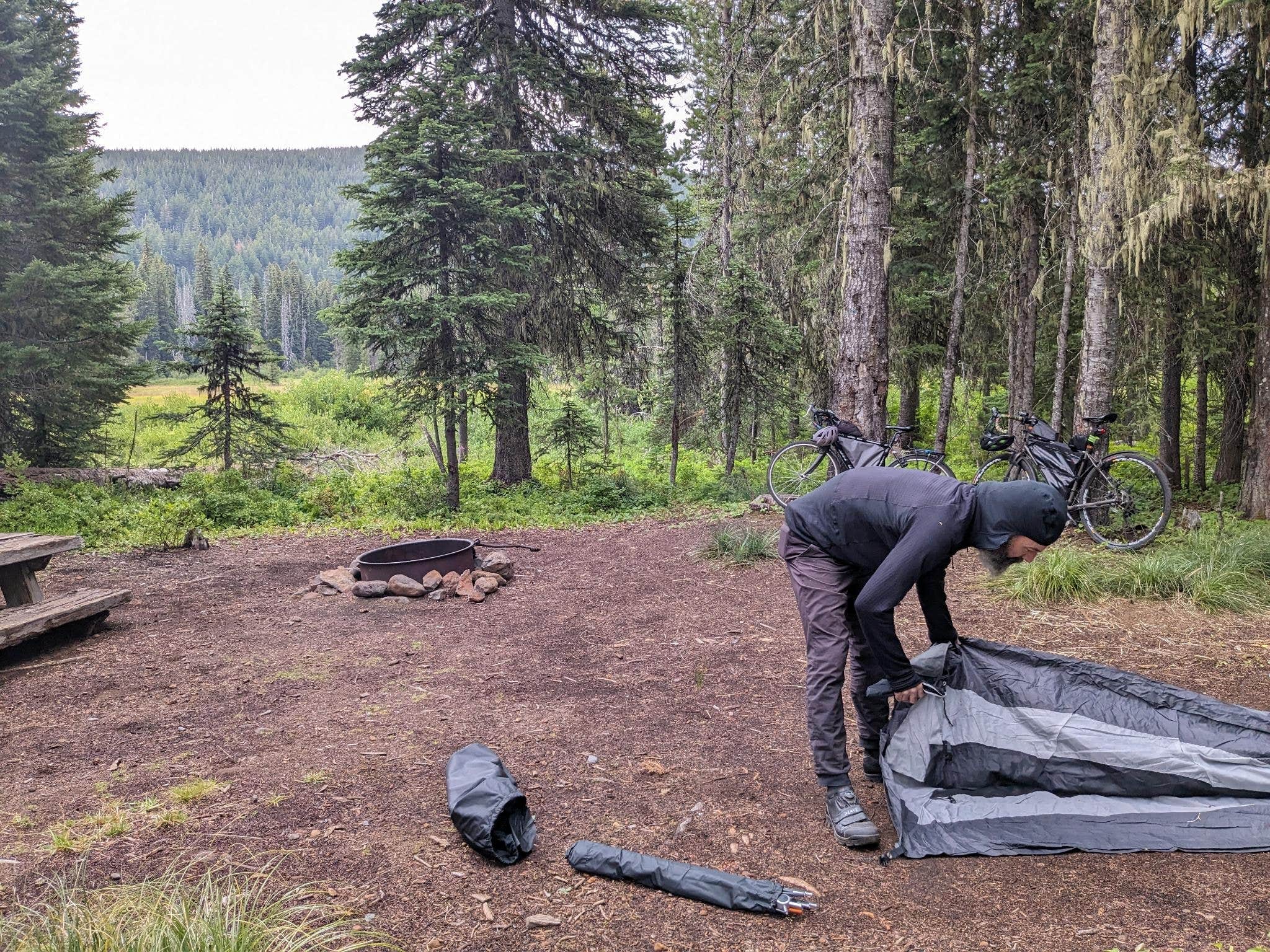 Camper submitted image from Olallie Meadow Campground - 3