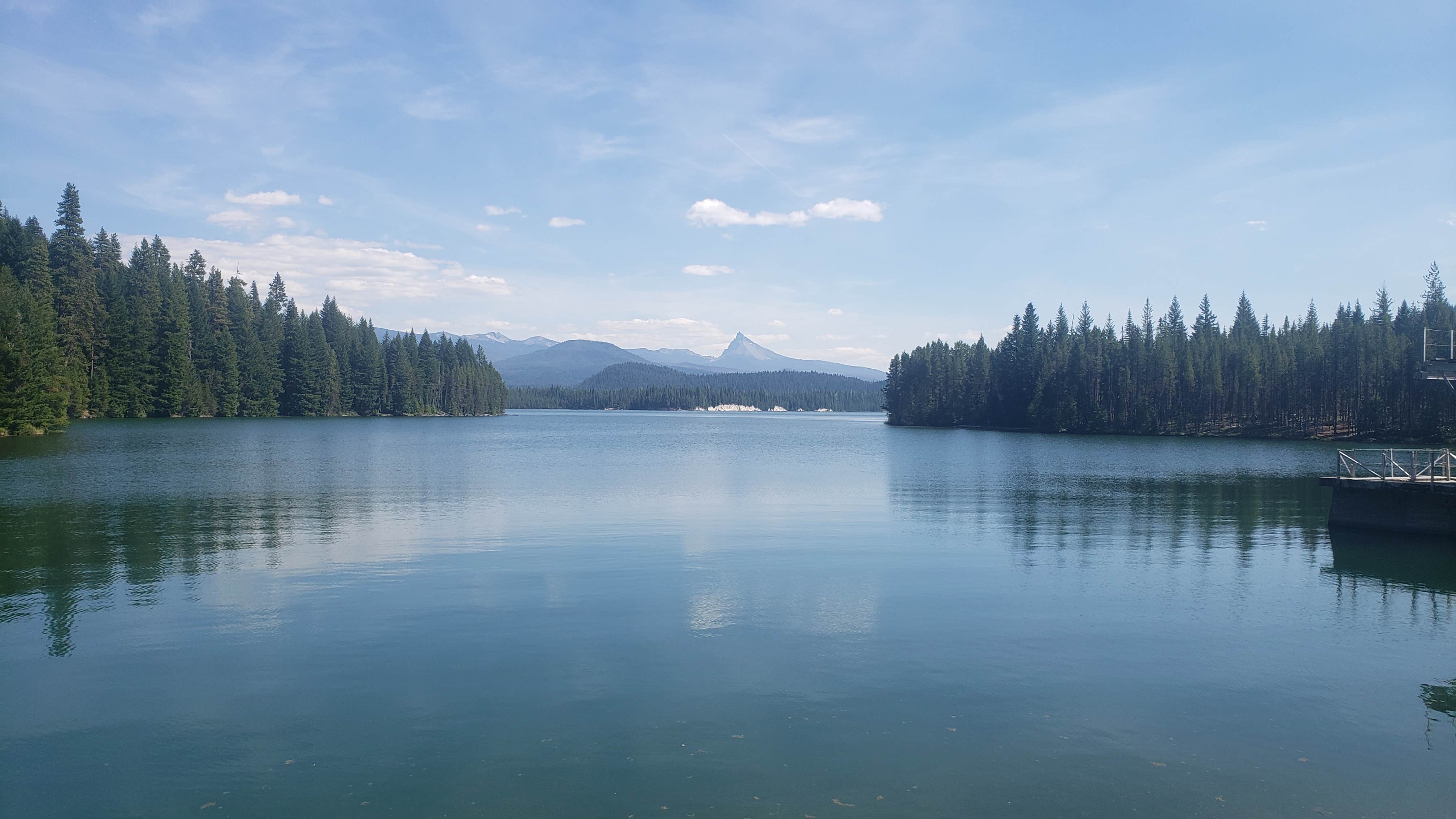 Reid's photo of a dispersed camping area at NF 2612 Dispersed Camping near Westfir, OR