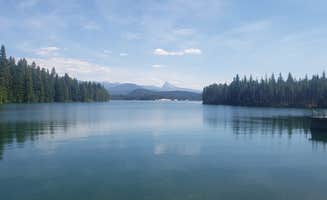 Reid's photo of a dispersed camping area at NF 2612 Dispersed Camping in Oregon