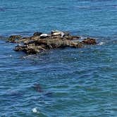 Review photo of Flying Flags Avila Beach by Wendy S., August 9, 2023