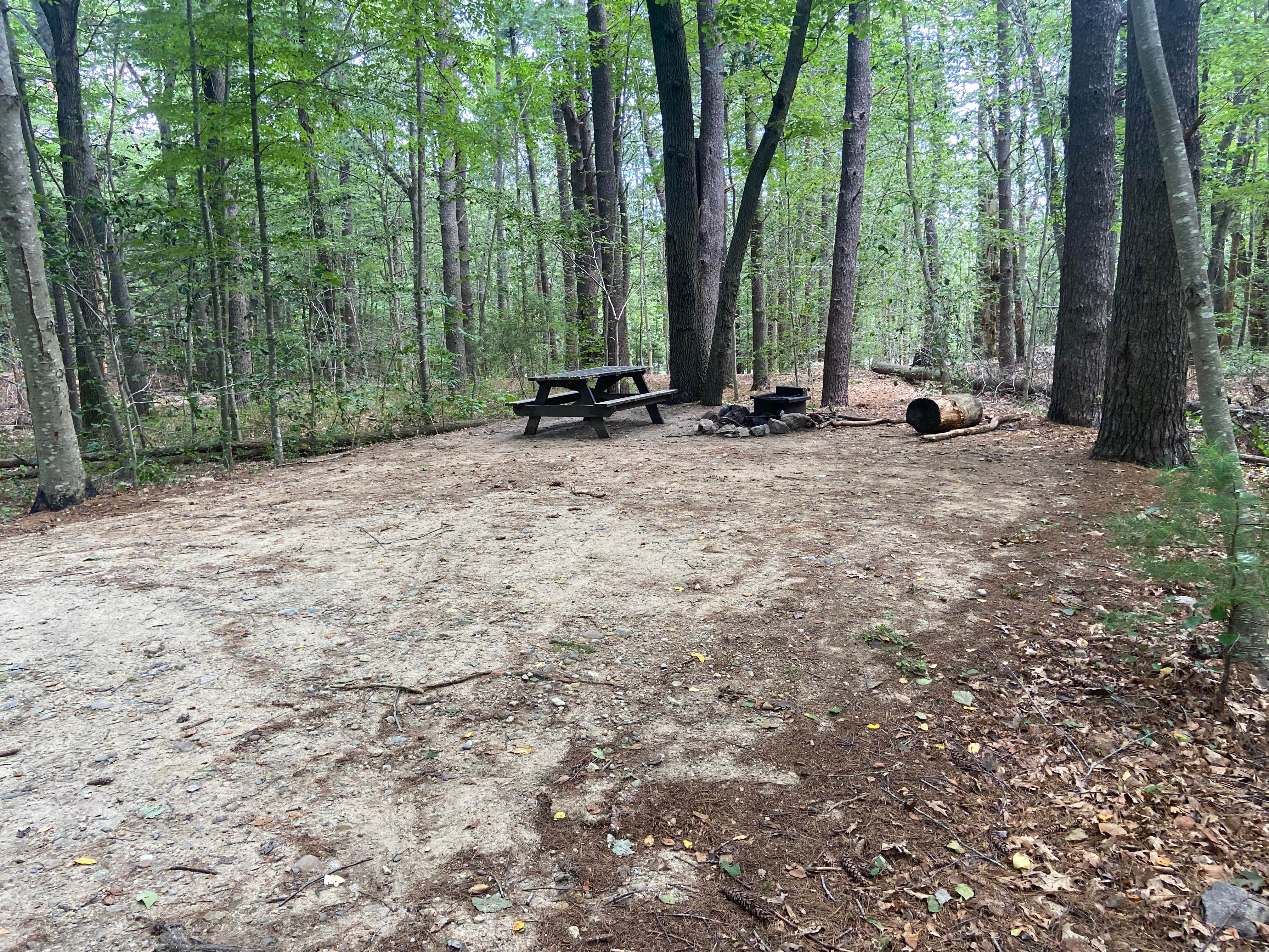 Alex S.'s photo at Wompatuck State Park Campground near Milton, MA