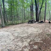 Review photo of Wompatuck State Park Campground by Alex S., August 9, 2023