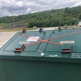 Review photo of Glacier Grizzly Resort- RV, Tent Site & TIPI - PERMANENTLY CLOSED by Lee H., August 9, 2023
