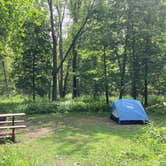 Review photo of Flandrau State Park by Molly Y., August 9, 2023