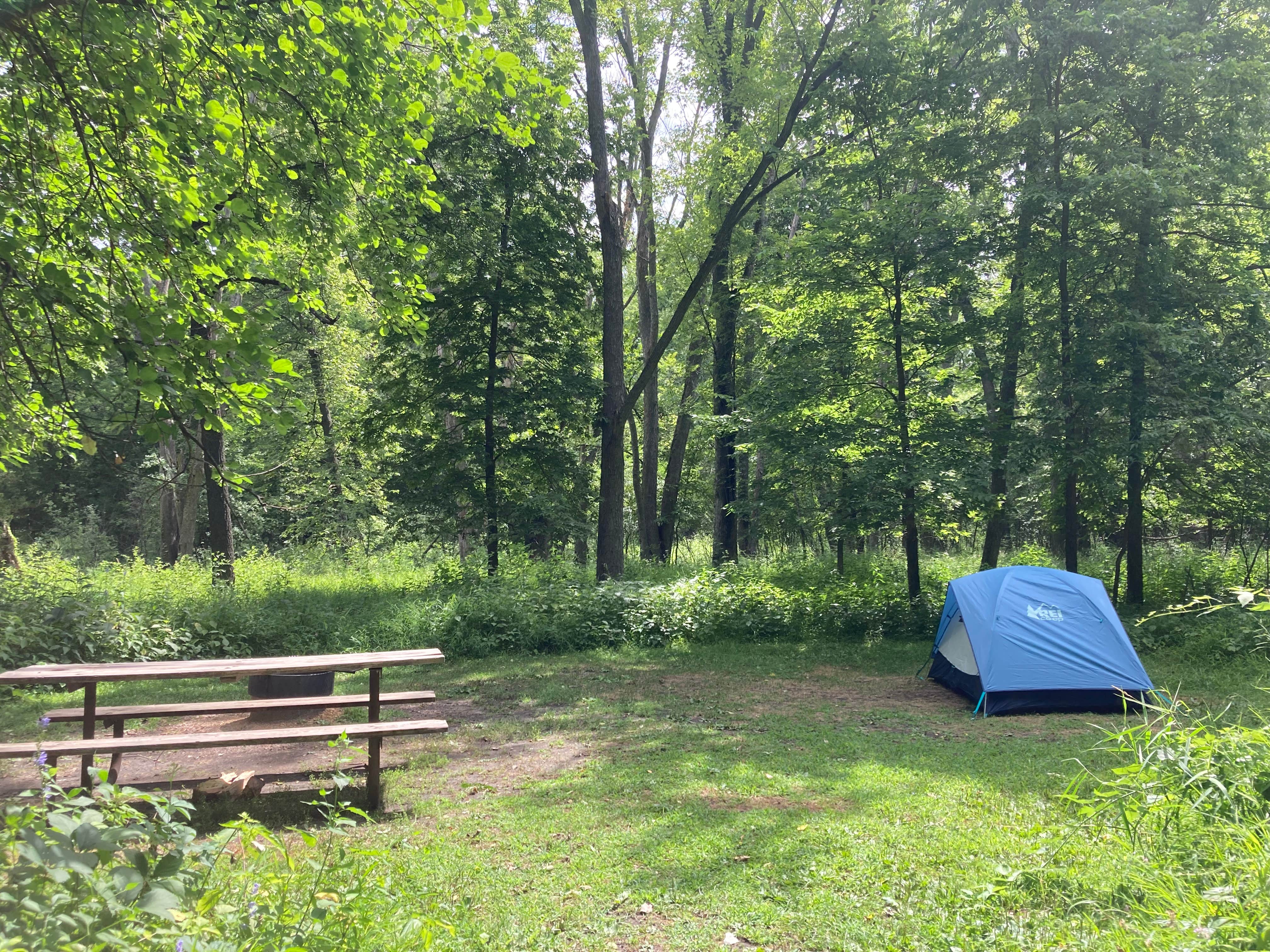 Flandrau State Park Campground | New Ulm, Minnesota