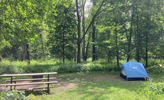 Molly Y.'s photo at Flandrau State Park near Morton, MN