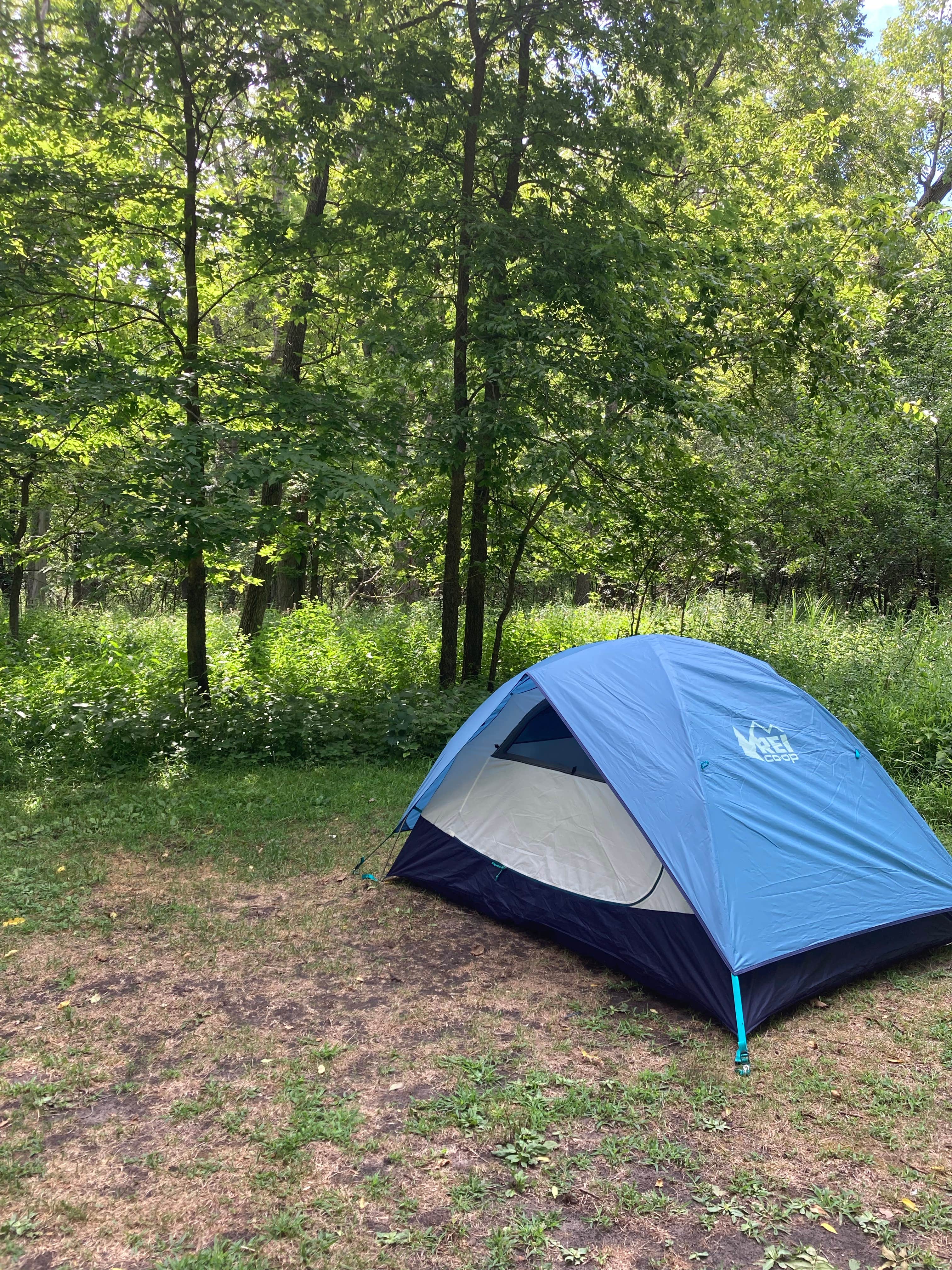 Molly Y.'s photo at Flandrau State Park Campground near Mankato, MN
