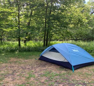 Camper-submitted photo from Flandrau State Park 