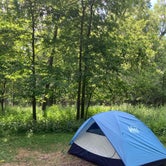 Review photo of Flandrau State Park  by Molly Y., August 9, 2023