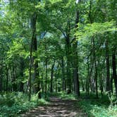 Review photo of Flandrau State Park by Molly Y., August 9, 2023