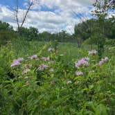 Review photo of Flandrau State Park by Molly Y., August 9, 2023