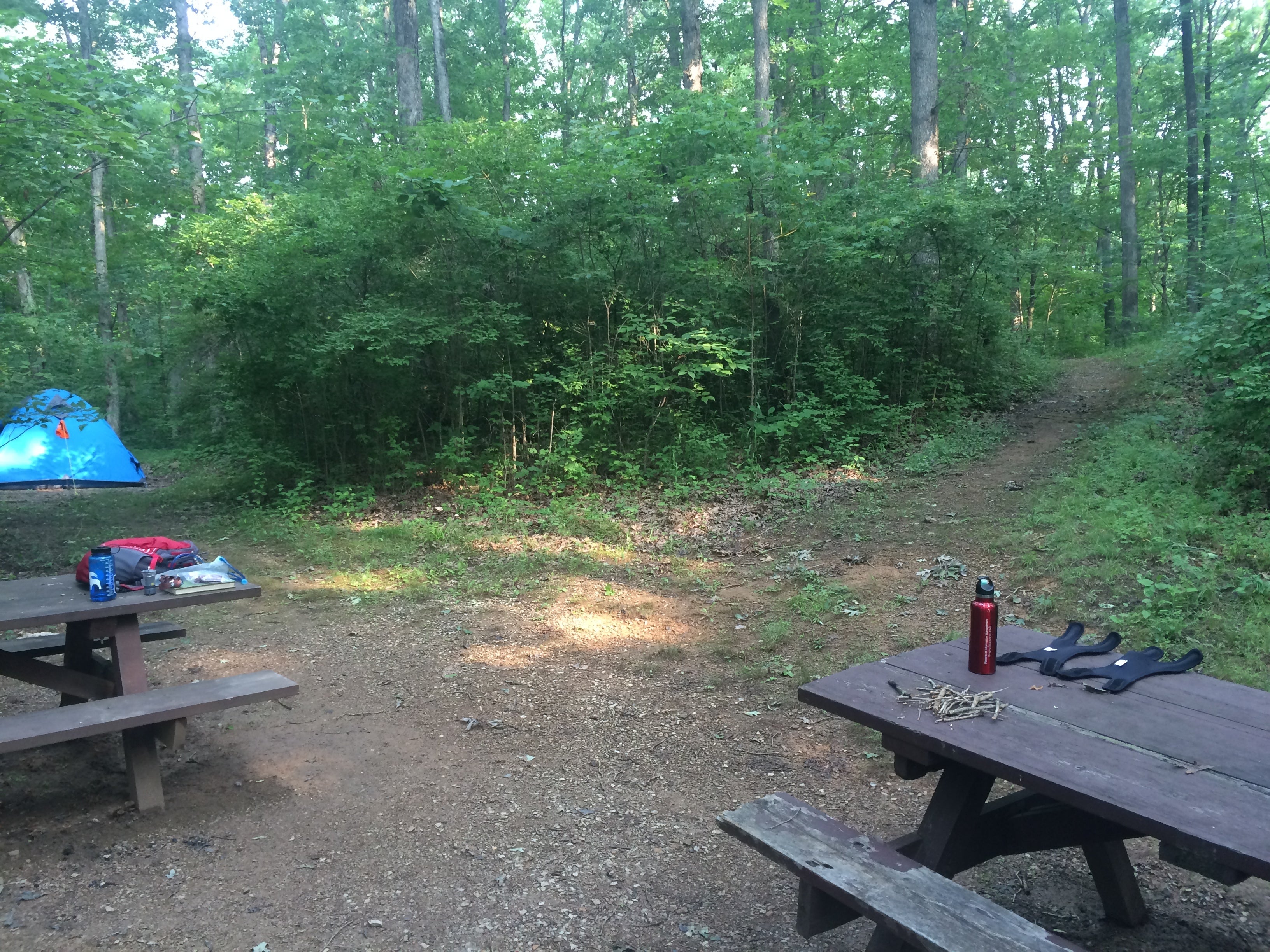 Camper submitted image from Burr Oak Cove Campground - 5