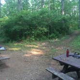 Review photo of Burr Oak Cove Campground by Eira T., July 5, 2015