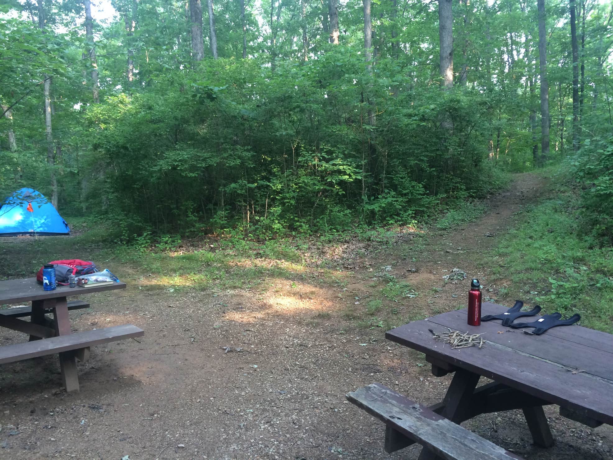 Burr Oak Cove Campground The Dyrt