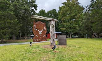Camping near Buck's Pocket State Park Campground: Benjonah Farm, Grant, Alabama