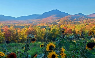 Camping near Smugglers Notch State Park Campground: Singing Wood Farm , Morristown, Vermont