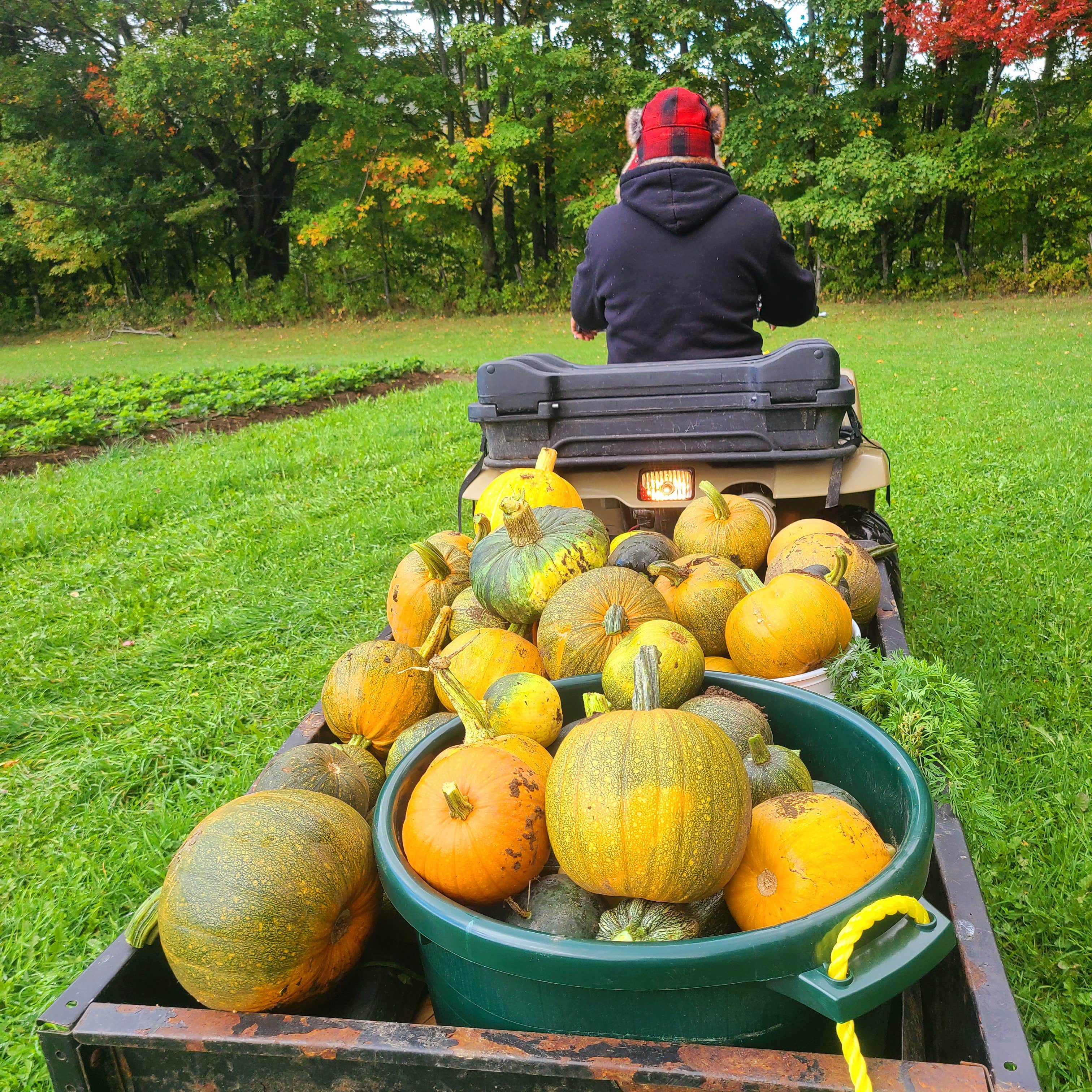Camper-submitted photo at Singing Wood Farm near Barre, VT