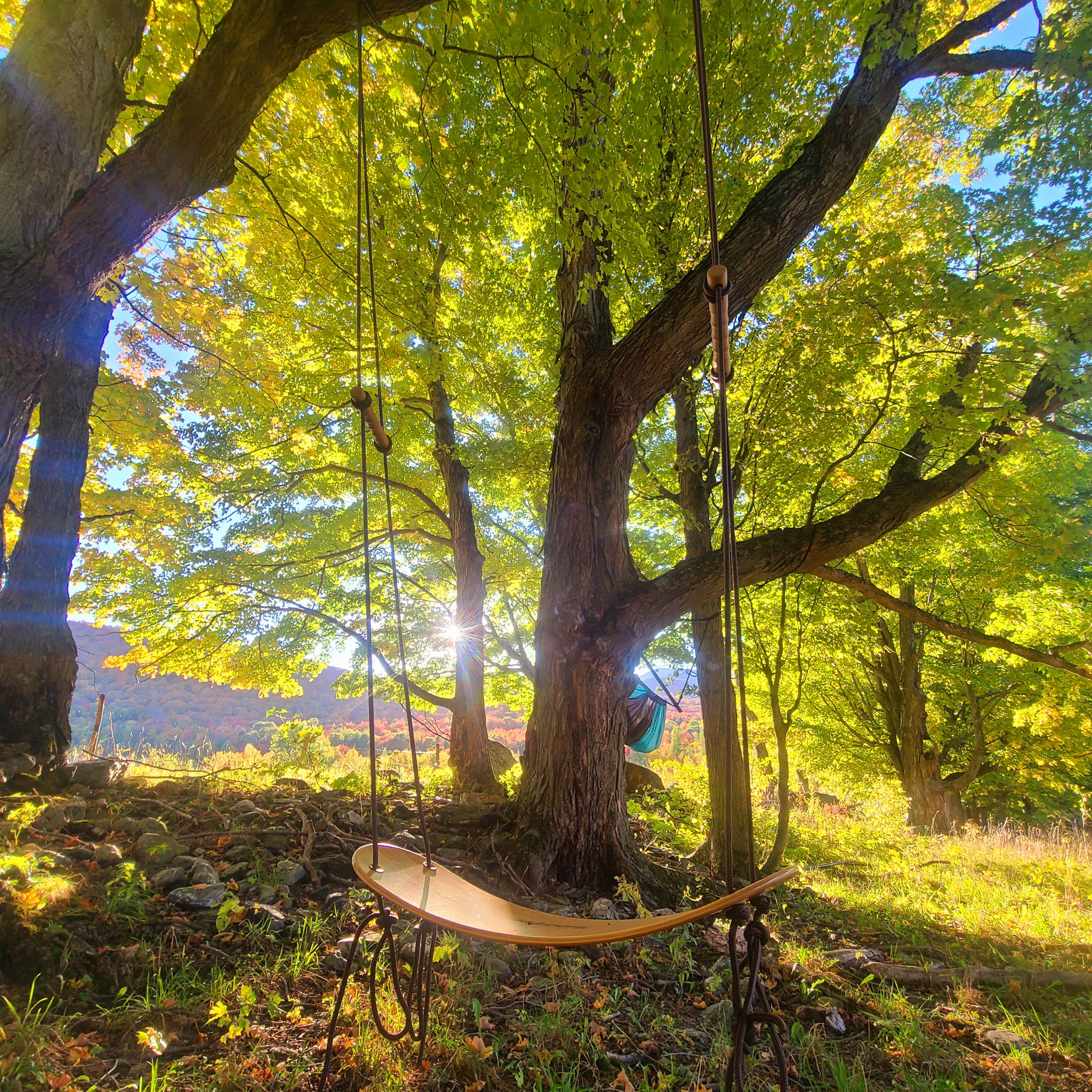 Camper-submitted photo at Singing Wood Farm near Barre, VT