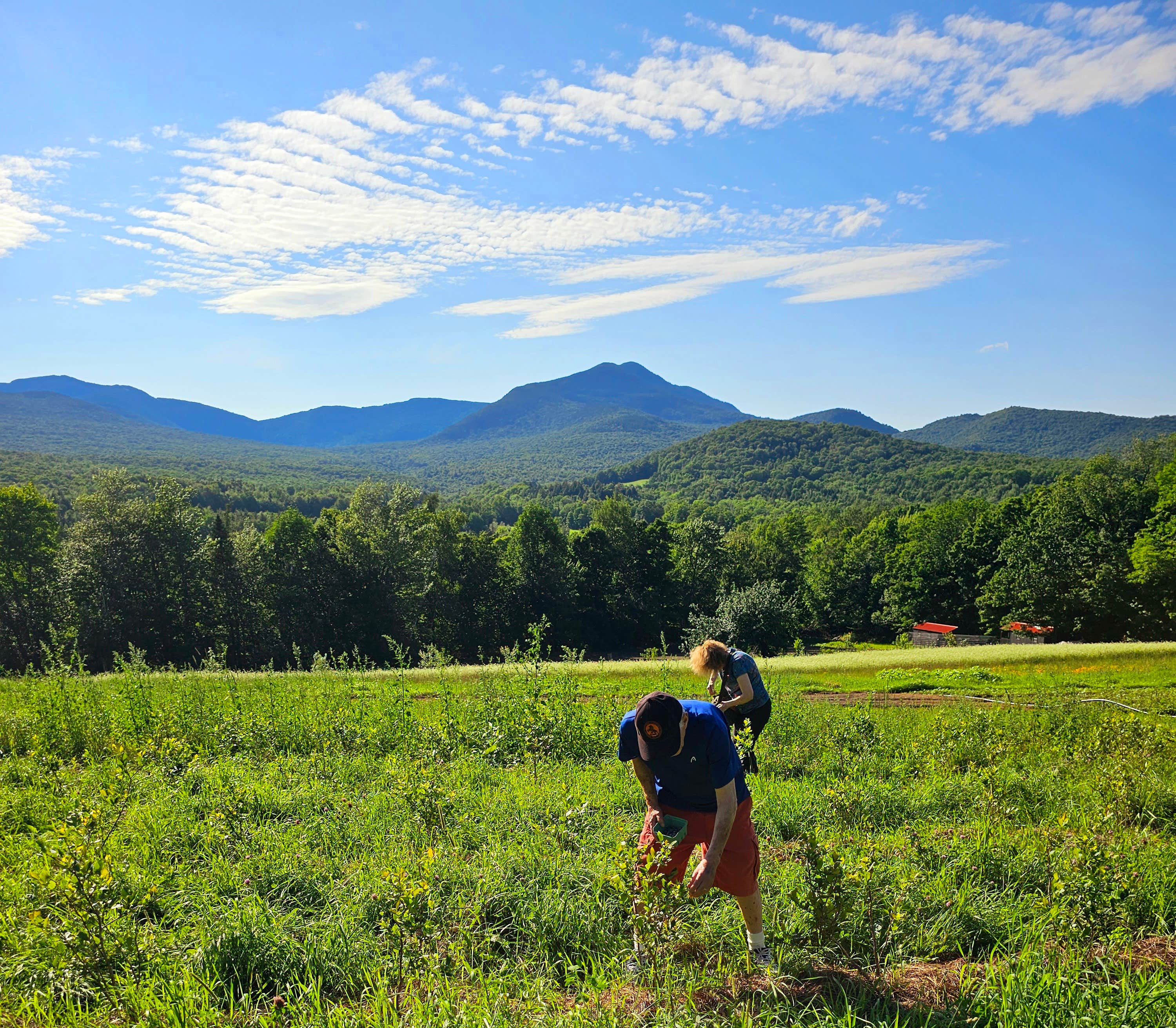 Camper-submitted photo at Singing Wood Farm near Barre, VT