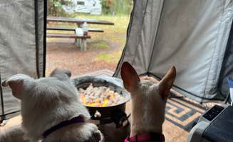 leanne G.'s photo at Bakers Hole Campground near West Yellowstone, MT