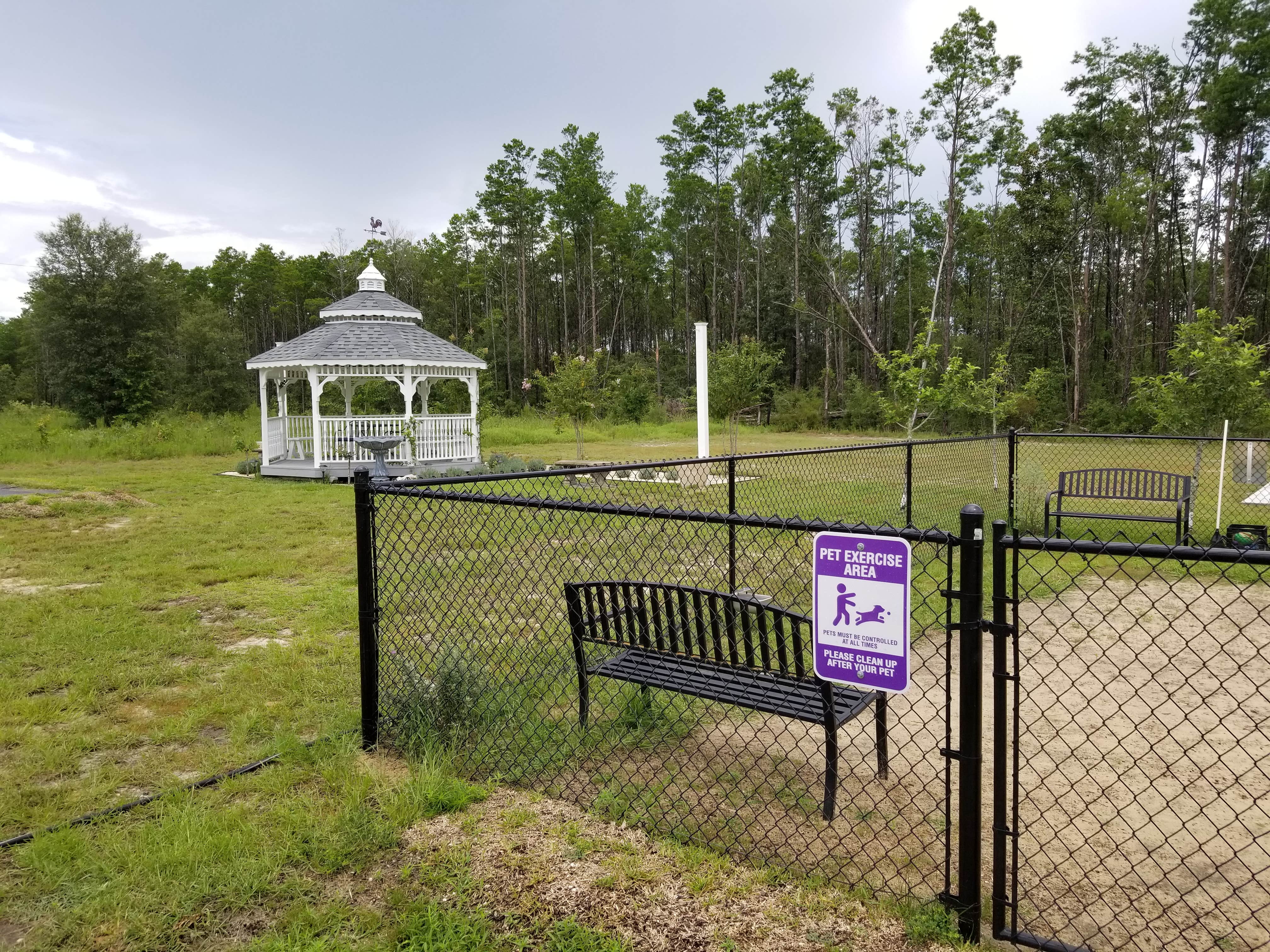 Camper-submitted photo at Southern Grace Lavender Farm near Ebro, FL