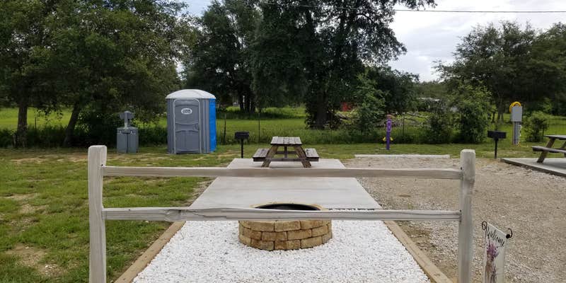 Camper submitted image from Southern Grace Lavender Farm