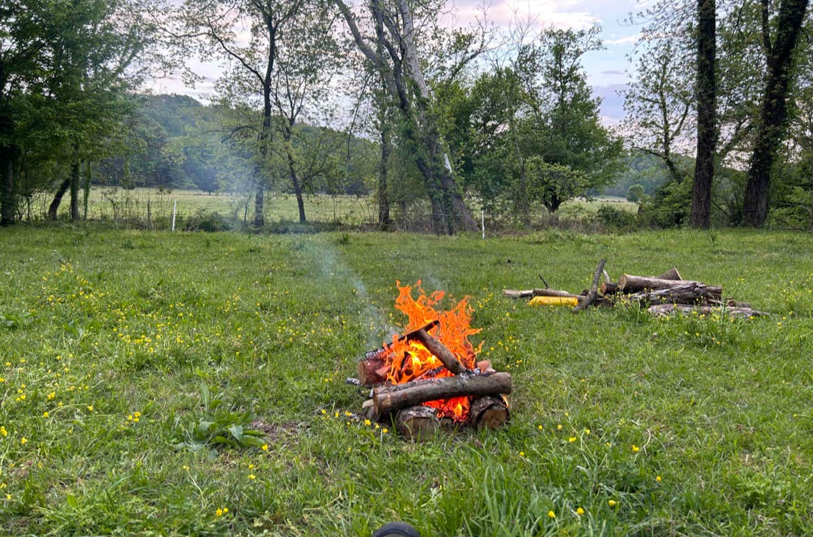 Camper-submitted photo at Morning View Farms near Westmoreland, TN