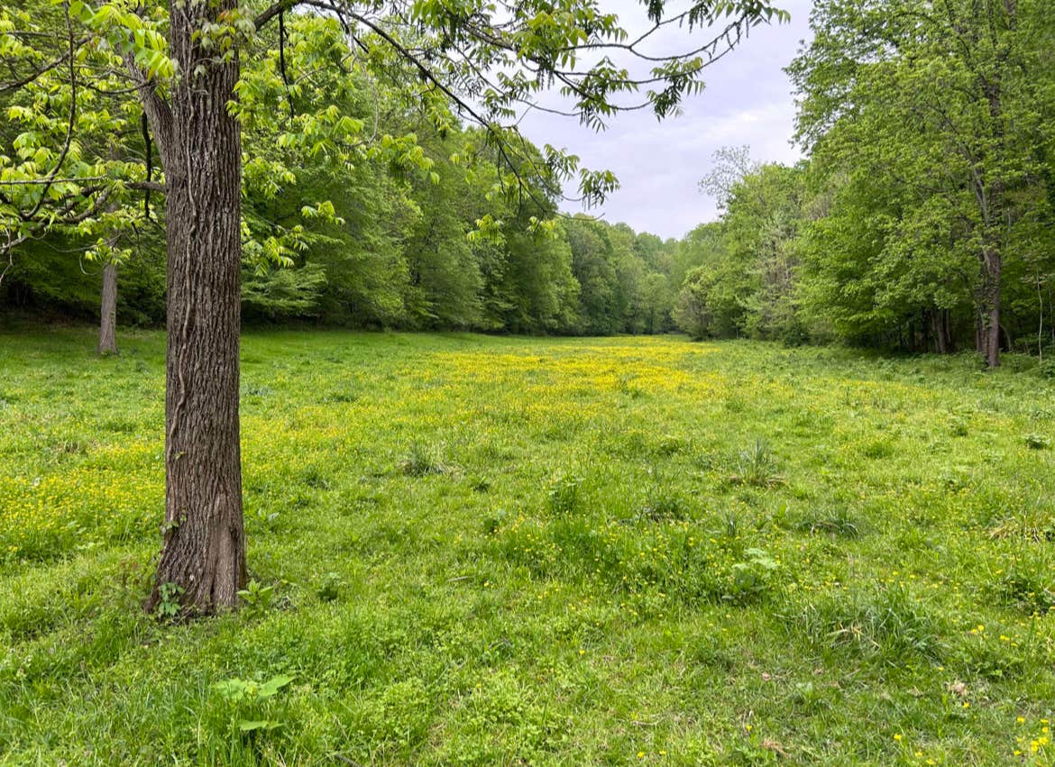 Camper-submitted photo at Morning View Farms near Westmoreland, TN
